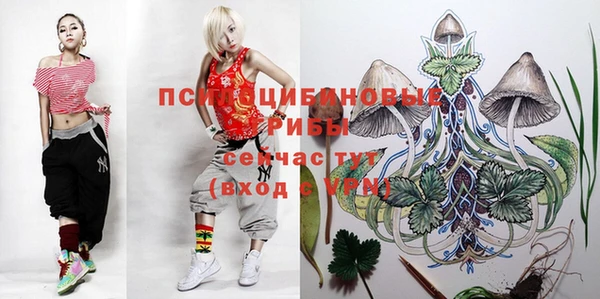 меф Дмитров